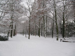 Vrijbroekpark Mechelen